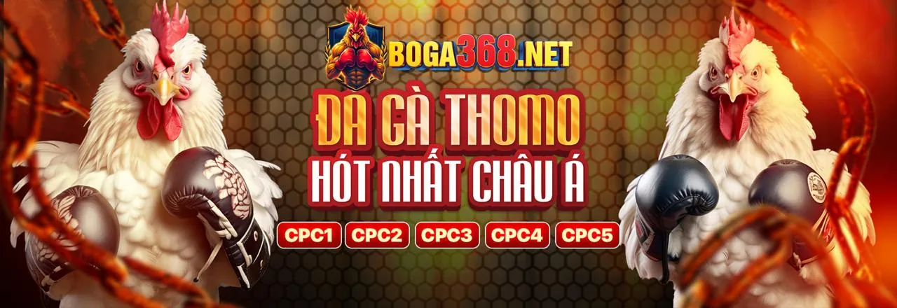 Hình ảnh đại diện cho Điều khoản và Điều kiện của Vicclub Code