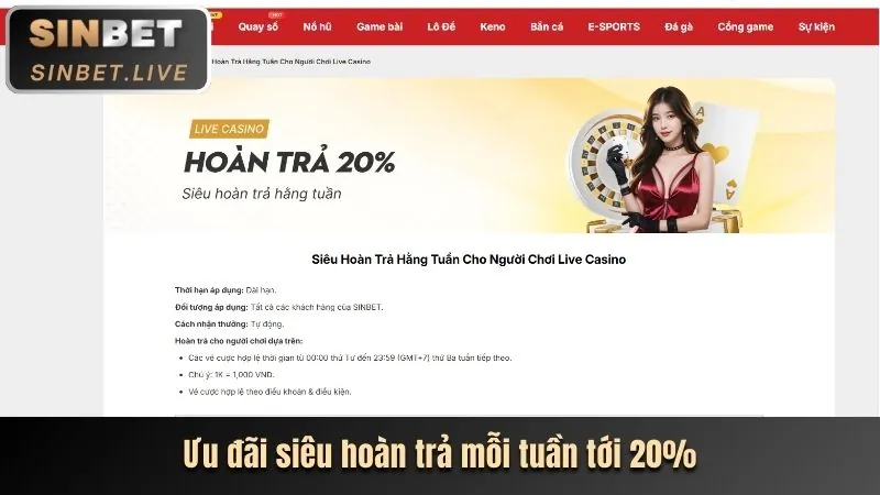 Hoàn trả thua cược vicclub code